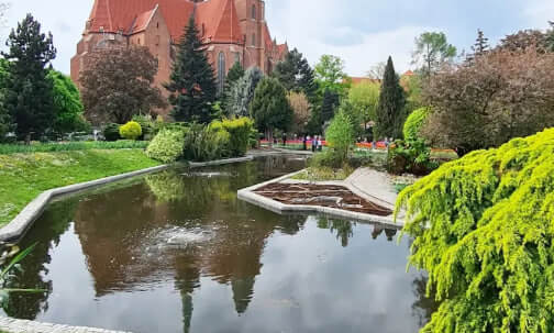 Кактусы и тропические растения в оранжереях Ботанического сада Вроцлава